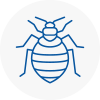 Bed Bug Extermination In Stroud