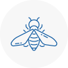 Bee Nest Removal Stroud