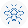 Stroud Hornet Nest Removals