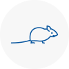 Mice Exterminators In Stroud