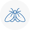 Moth Control Specialists In Stroud