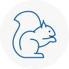 Stroud Rodent Removals