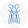 Stroud Wasp Nest Removal